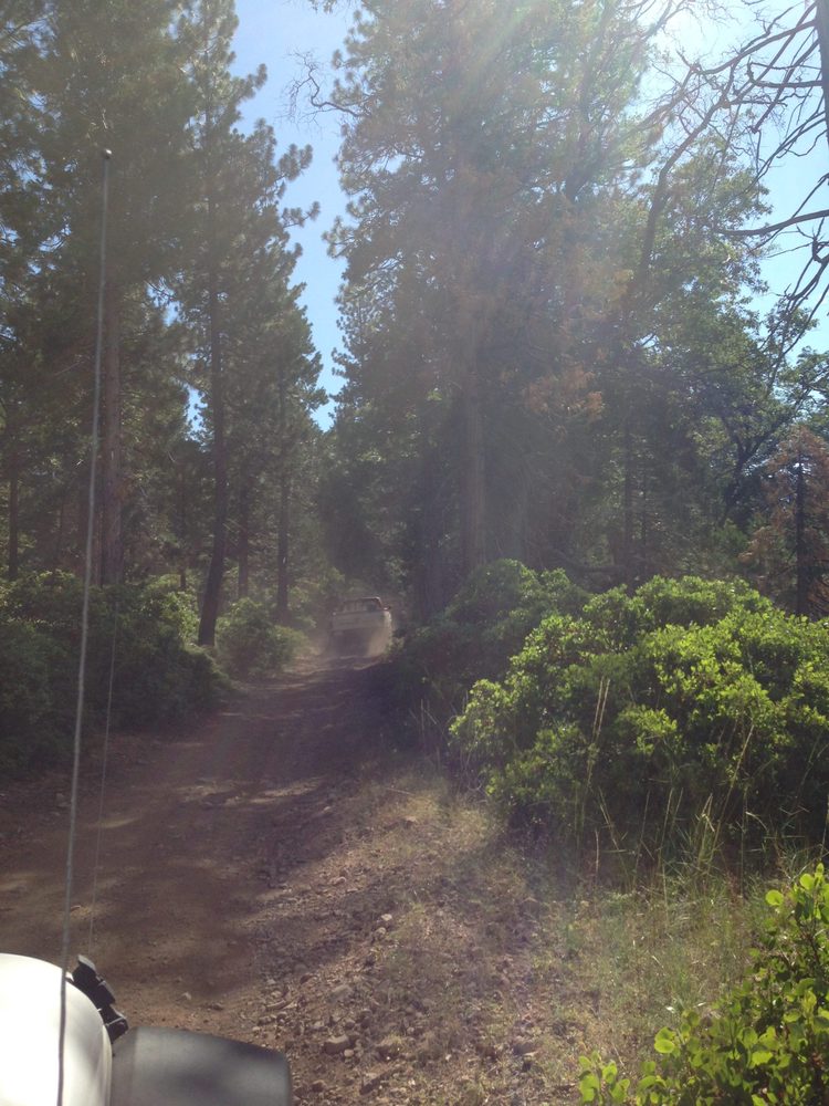 Photo from Plummer Ridge Trail