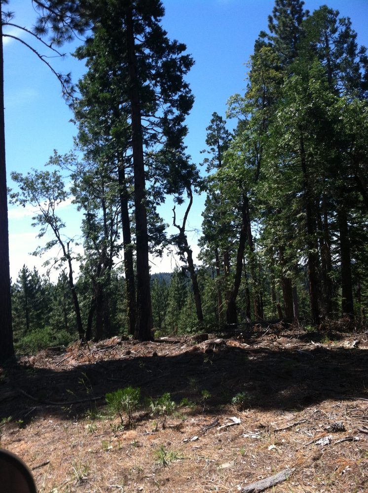 Photo from Plummer Ridge Trail