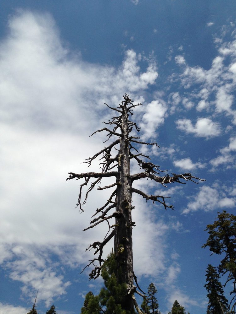 Photo from Plummer Ridge Trail
