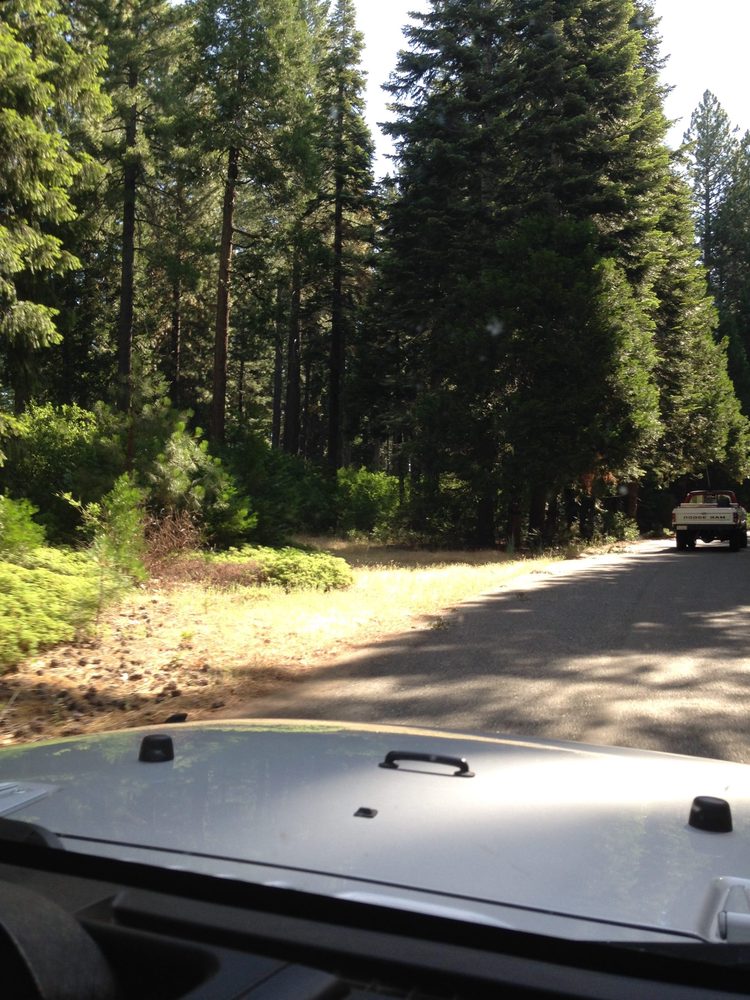 Photo from Plummer Ridge Trail
