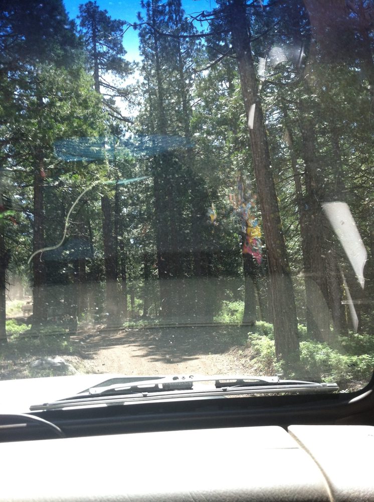 Photo from Plummer Ridge Trail