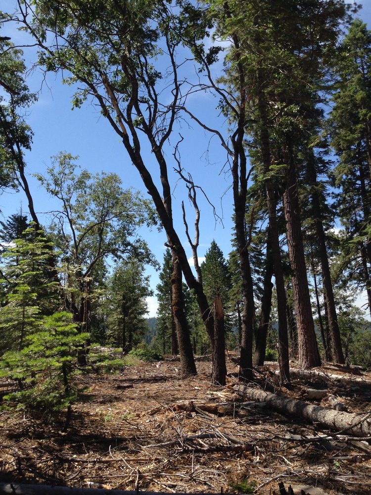 Photo from Plummer Ridge Trail