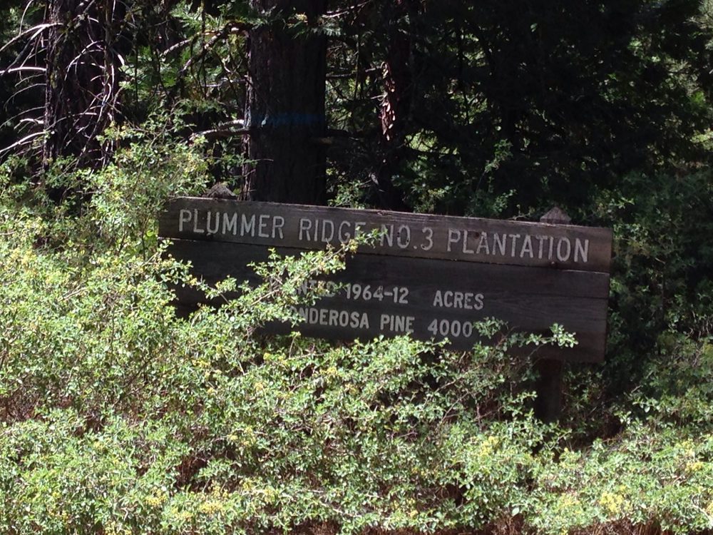 Photo from Plummer Ridge Trail