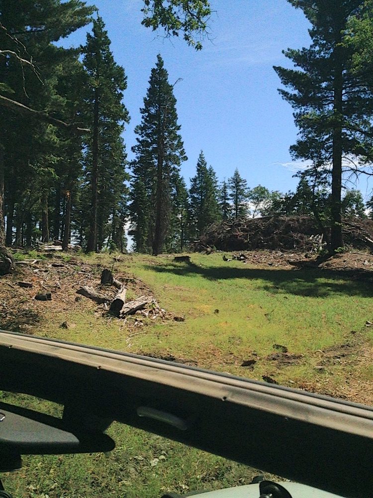 Photo from Plummer Ridge Trail
