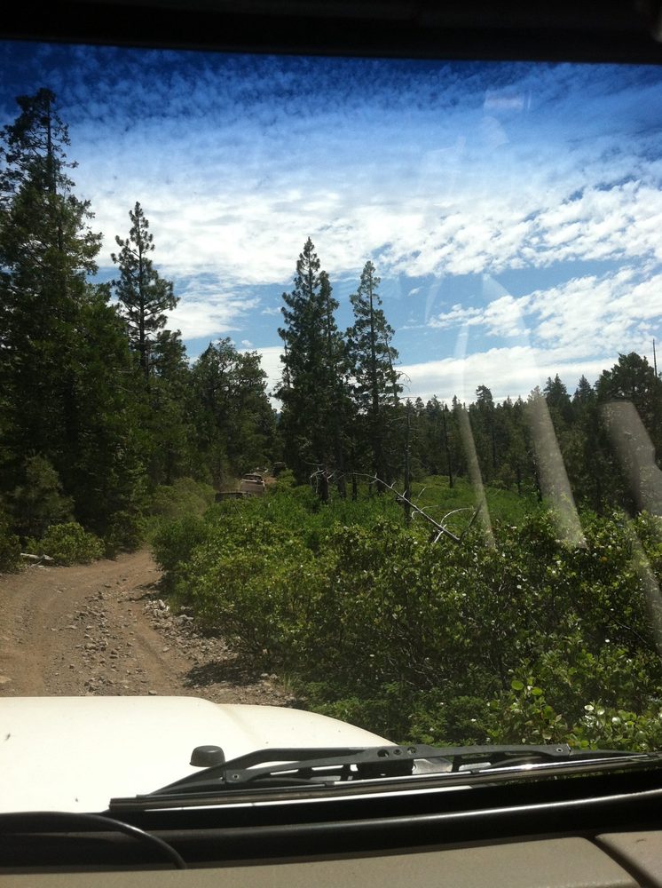 Photo from Plummer Ridge Trail