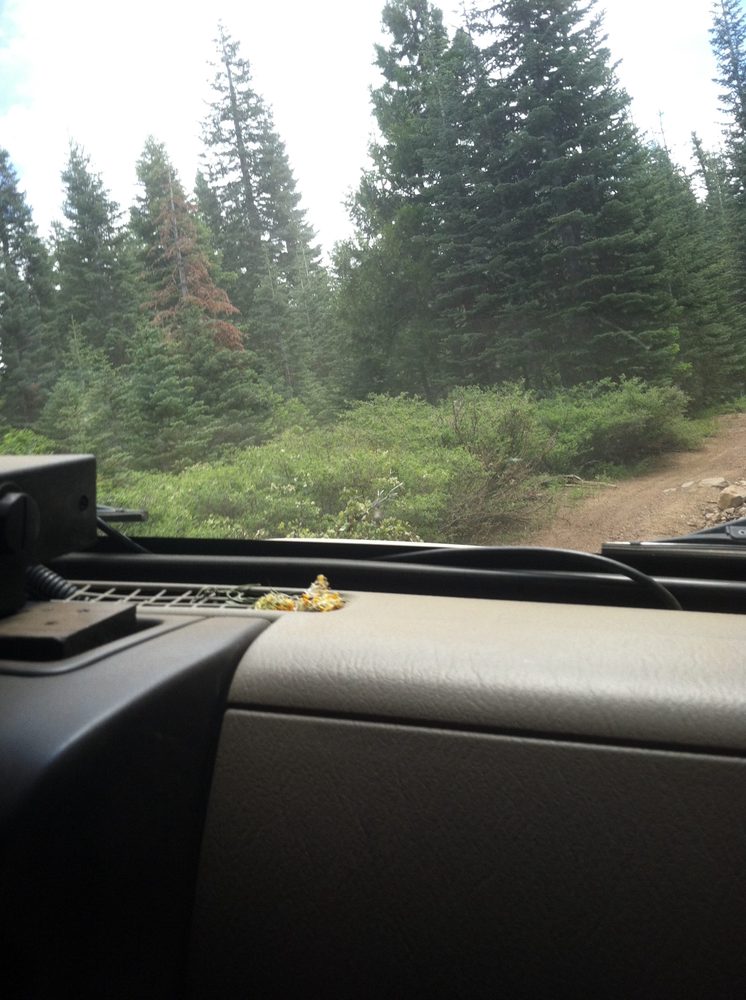 Photo from Plummer Ridge Trail