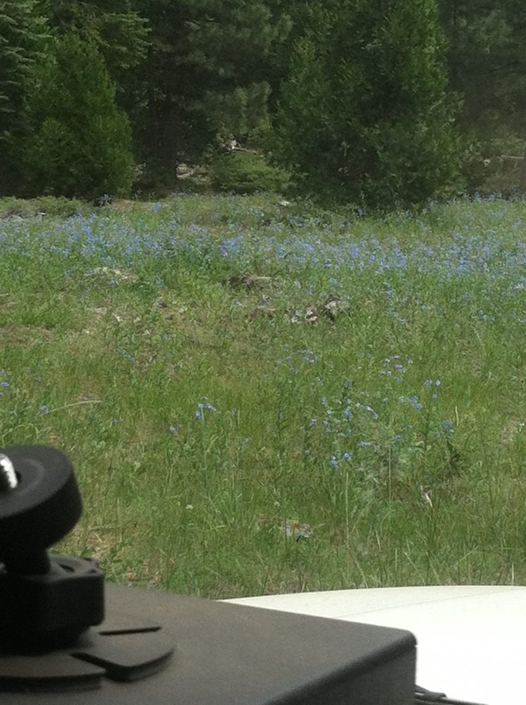 Photo from Plummer Ridge Trail