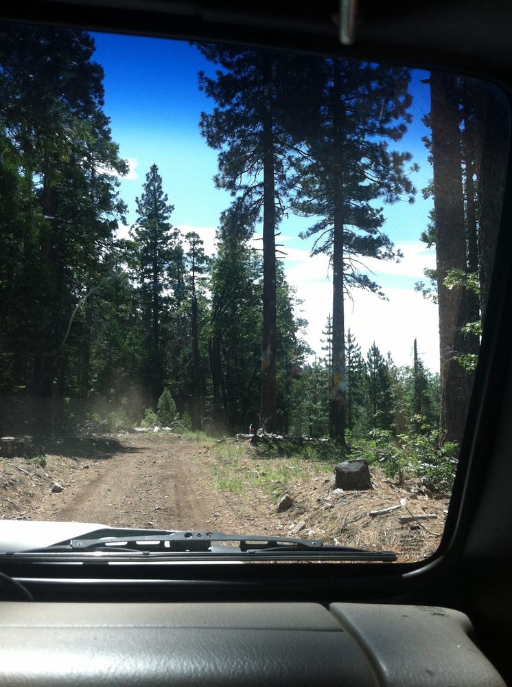 Photo from Plummer Ridge Trail