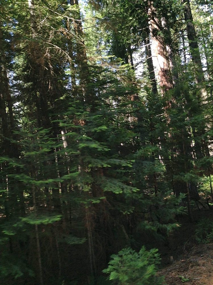Photo from Plummer Ridge Trail