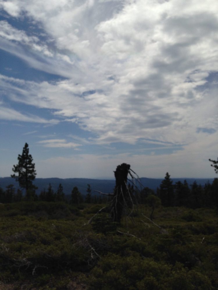 Photo from Plummer Ridge Trail