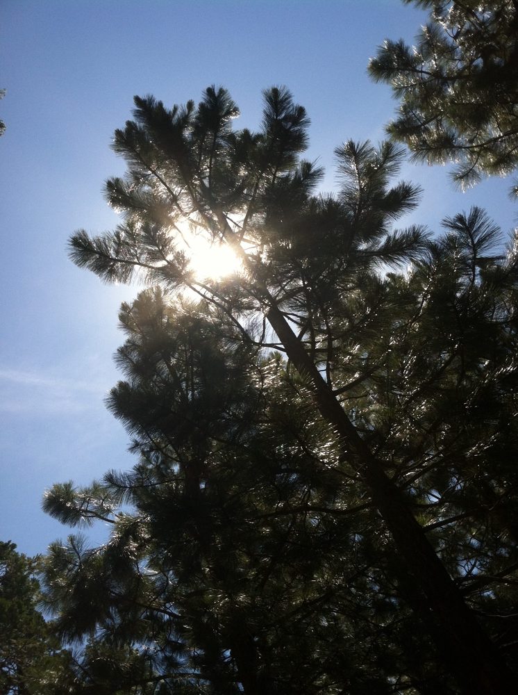 Photo from Plummer Ridge Trail