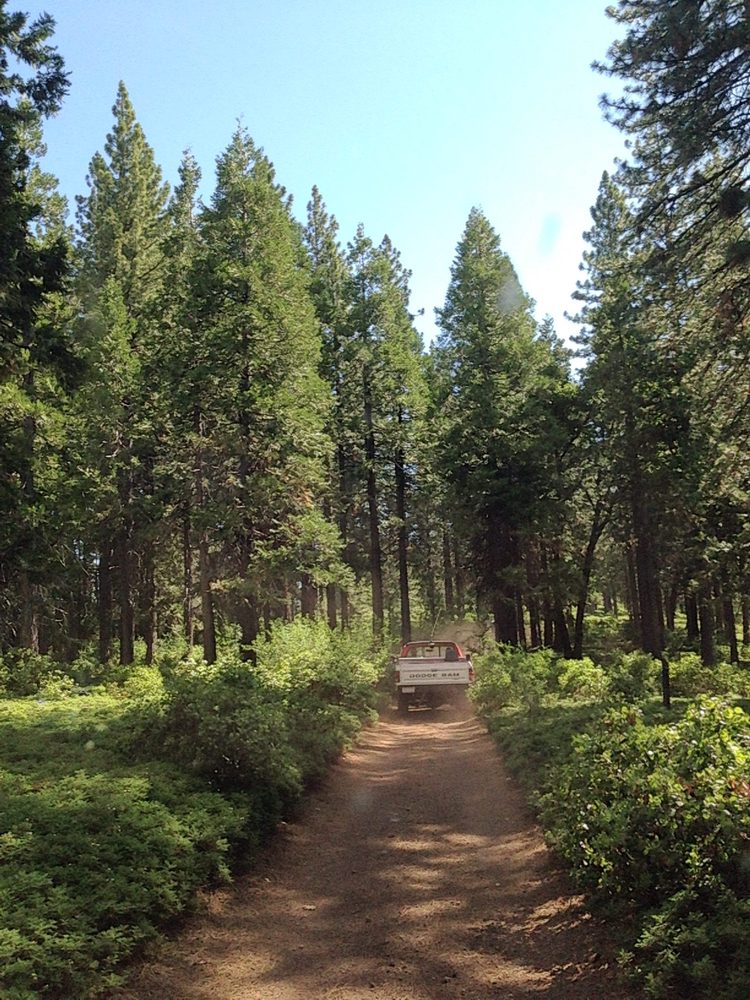 Photo from Plummer Ridge Trail