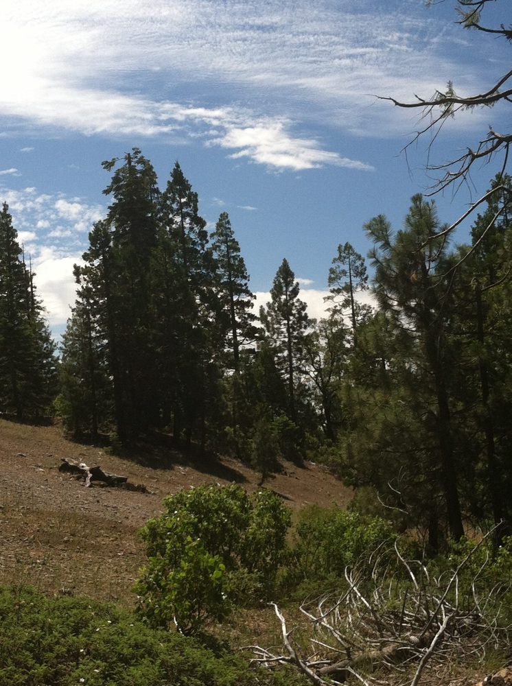 Photo from Plummer Ridge Trail