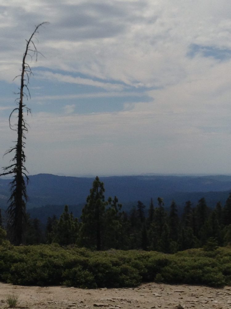 Photo from Plummer Ridge Trail