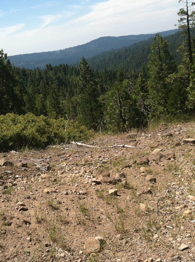 Photo from Plummer Ridge Trail