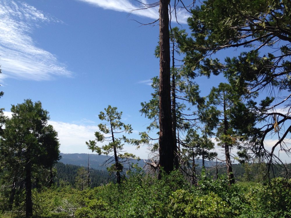 Photo from Plummer Ridge Trail