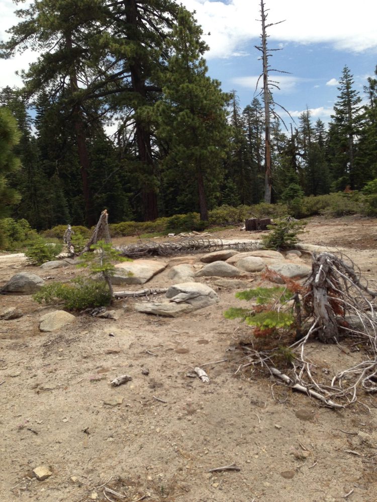 Photo from Plummer Ridge Trail