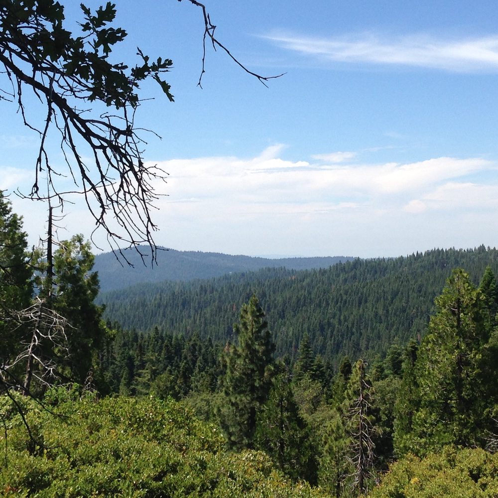 Photo from Plummer Ridge Trail
