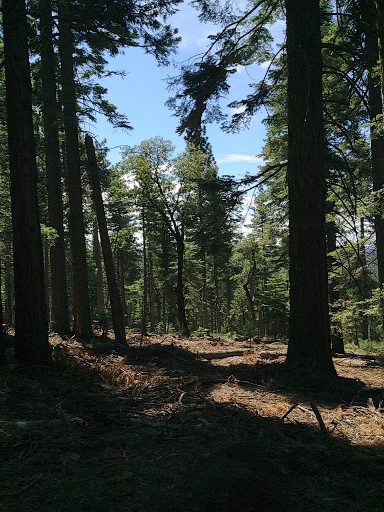 Photo from Plummer Ridge Trail