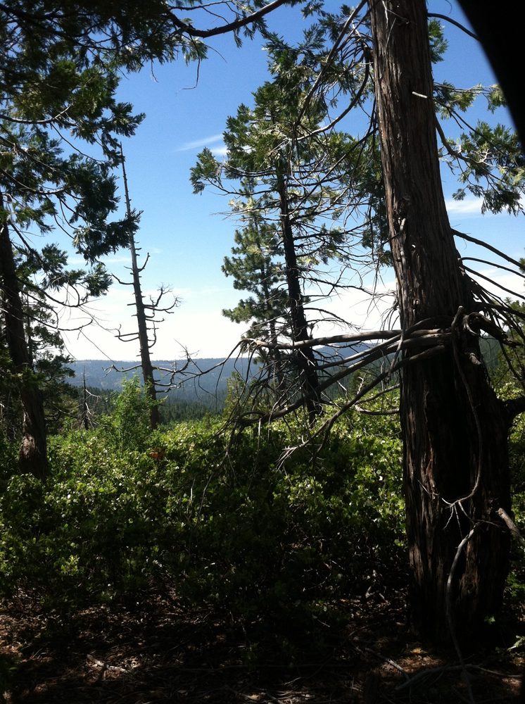 Photo from Plummer Ridge Trail