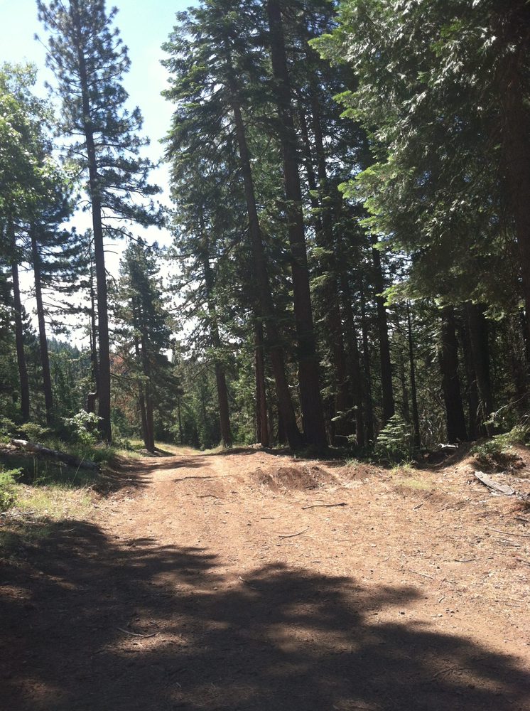 Photo from Plummer Ridge Trail