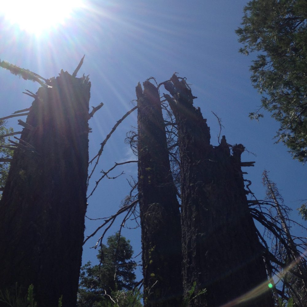 Photo from Plummer Ridge Trail