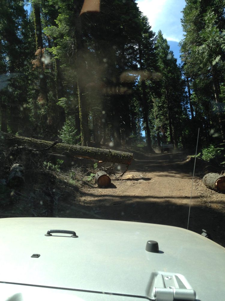 Photo from Plummer Ridge Trail