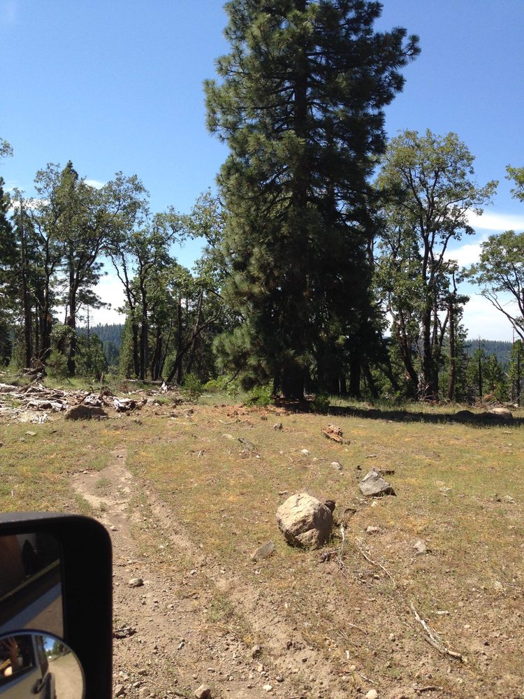 Photo from Plummer Ridge Trail