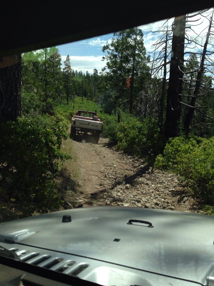 Photo from Plummer Ridge Trail