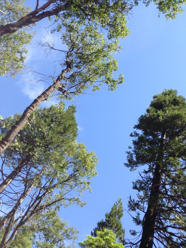 Photo from Plummer Ridge Trail