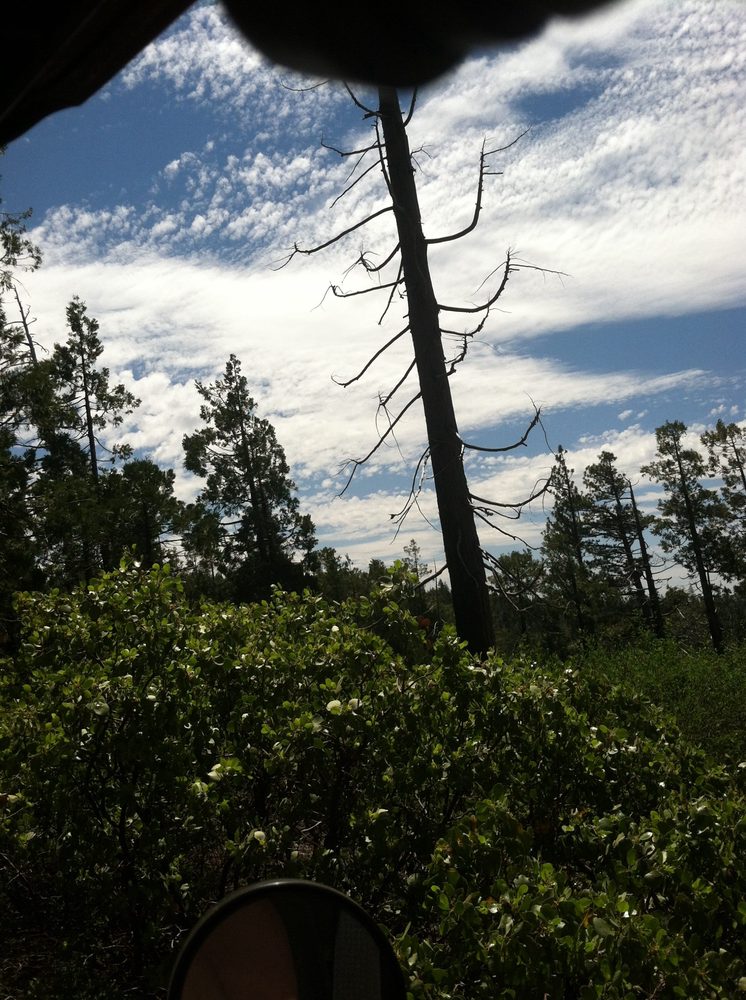 Photo from Plummer Ridge Trail