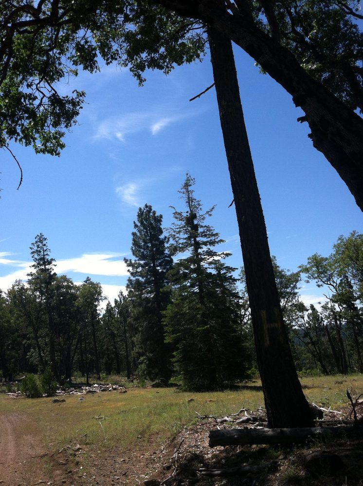 Photo from Plummer Ridge Trail
