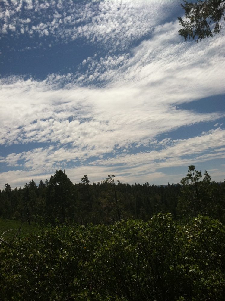Photo from Plummer Ridge Trail