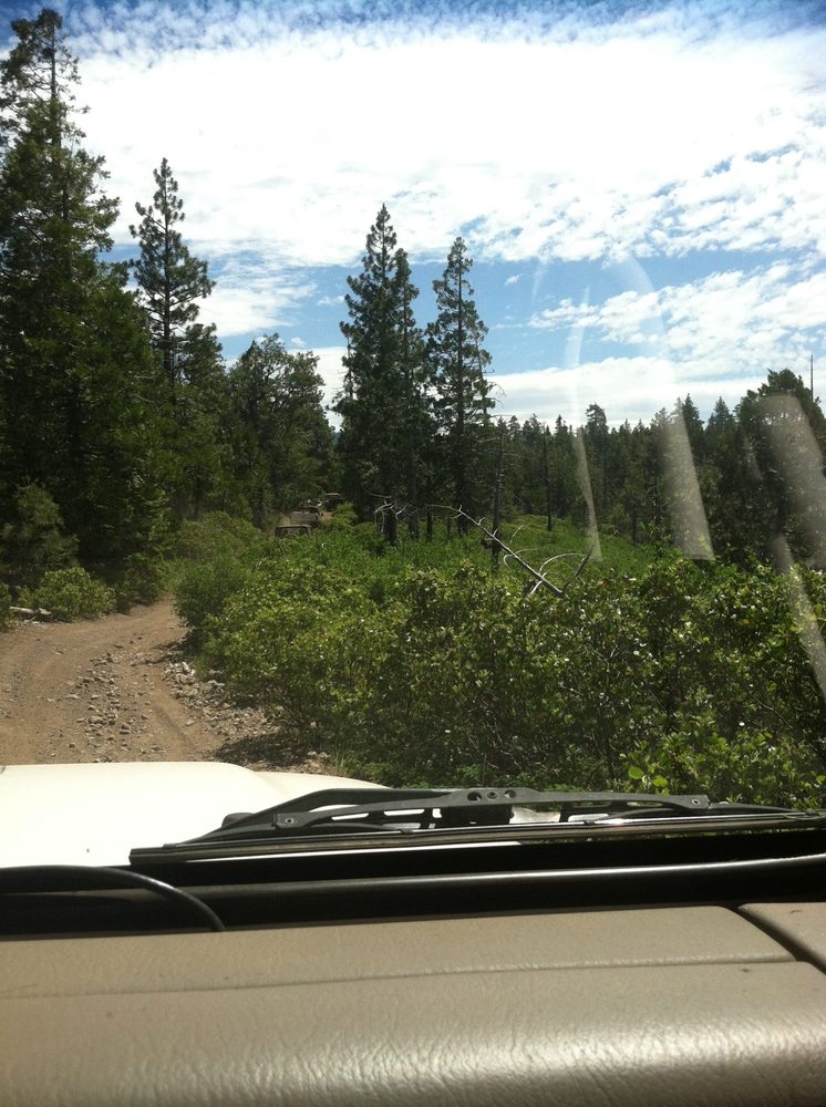 Photo from Plummer Ridge Trail