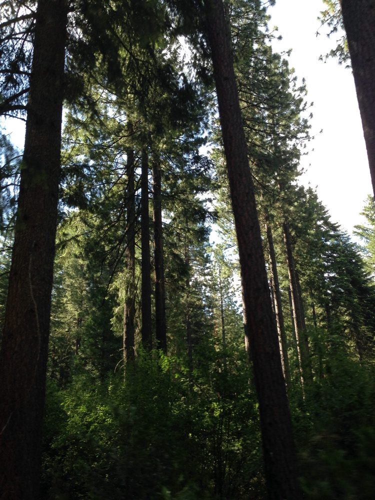 Photo from Plummer Ridge Trail