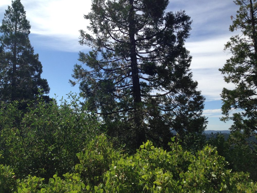 Photo from Plummer Ridge Trail