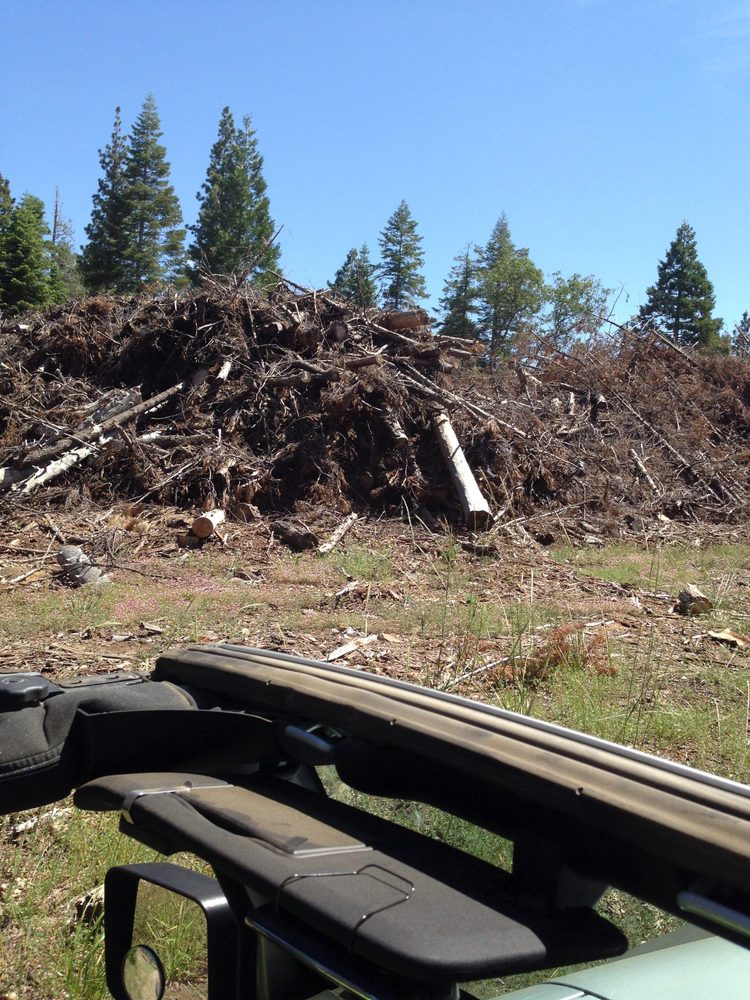 Photo from Plummer Ridge Trail