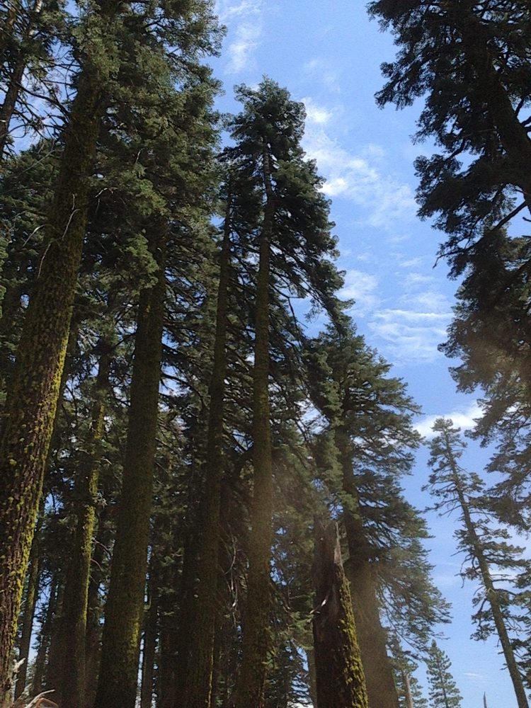 Photo from Plummer Ridge Trail