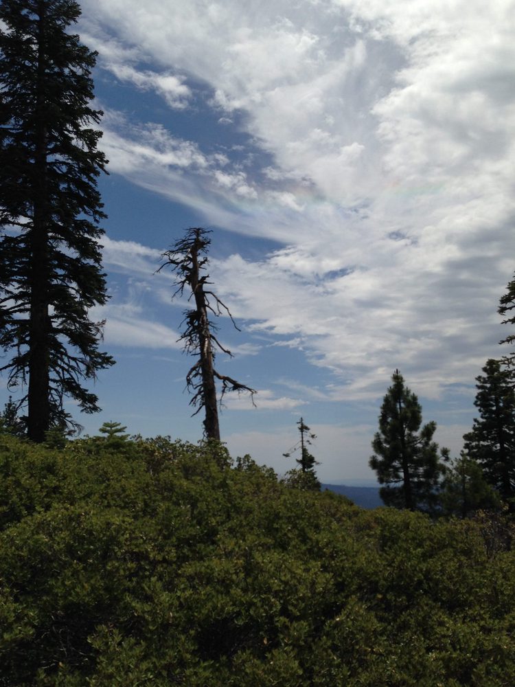 Photo from Plummer Ridge Trail