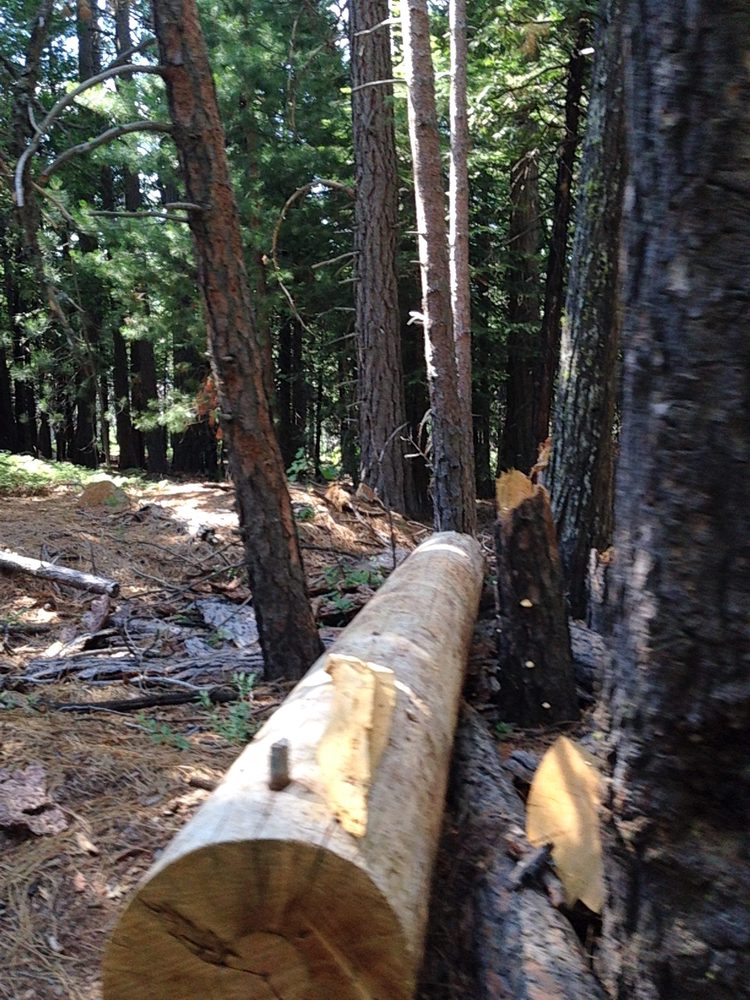Photo from Plummer Ridge Trail