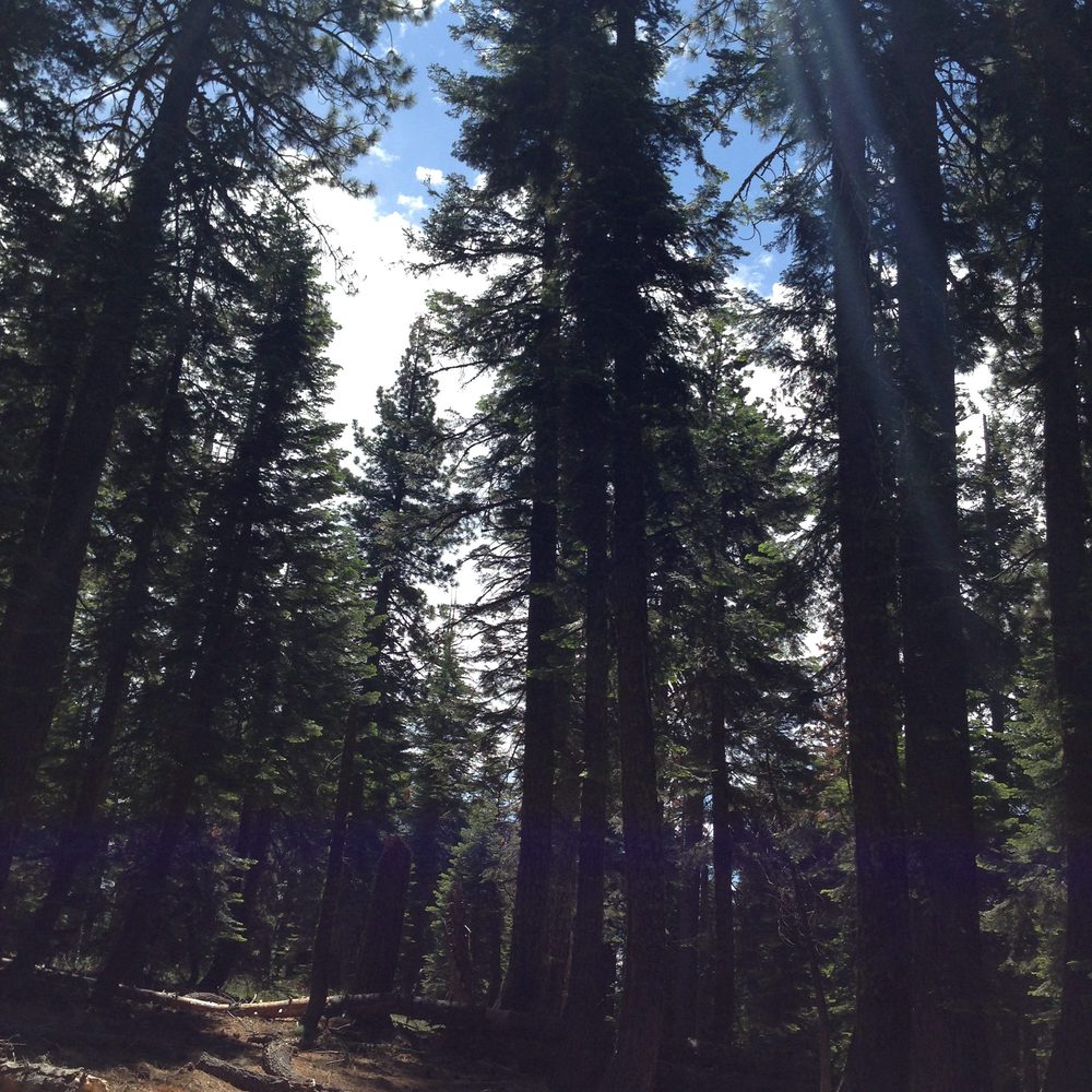 Photo from Plummer Ridge Trail