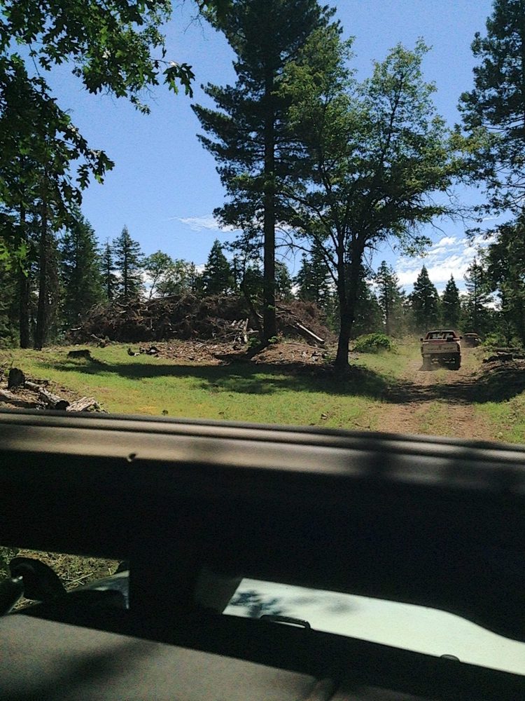 Photo from Plummer Ridge Trail