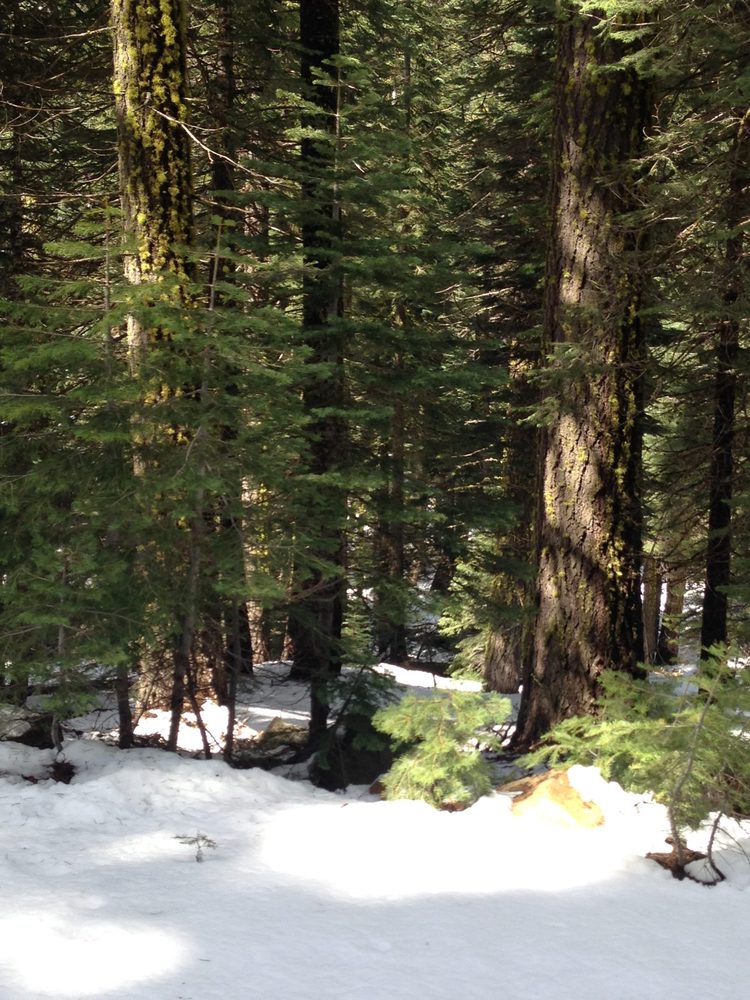 Photo from Packsaddle Pass