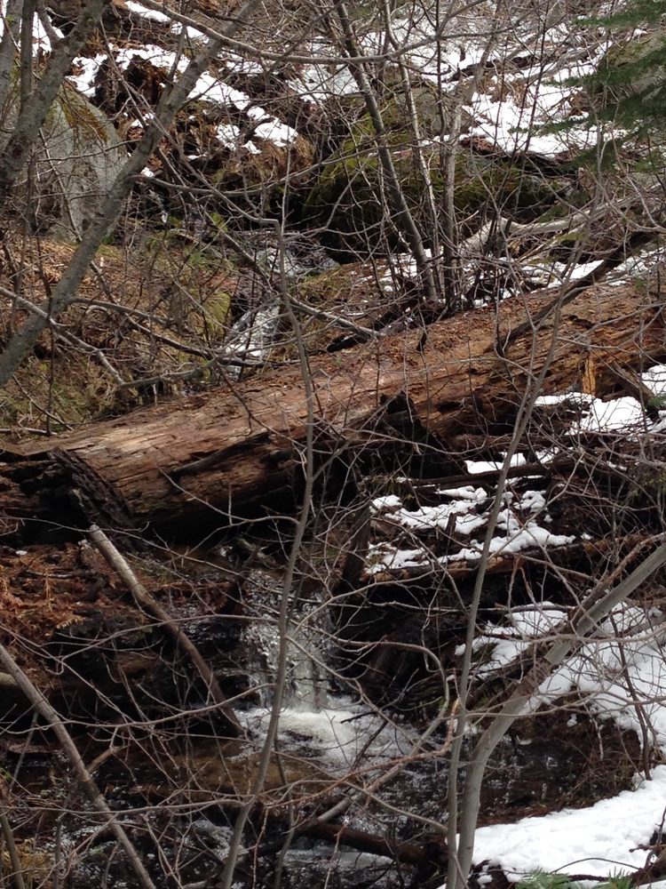 Photo from Packsaddle Pass