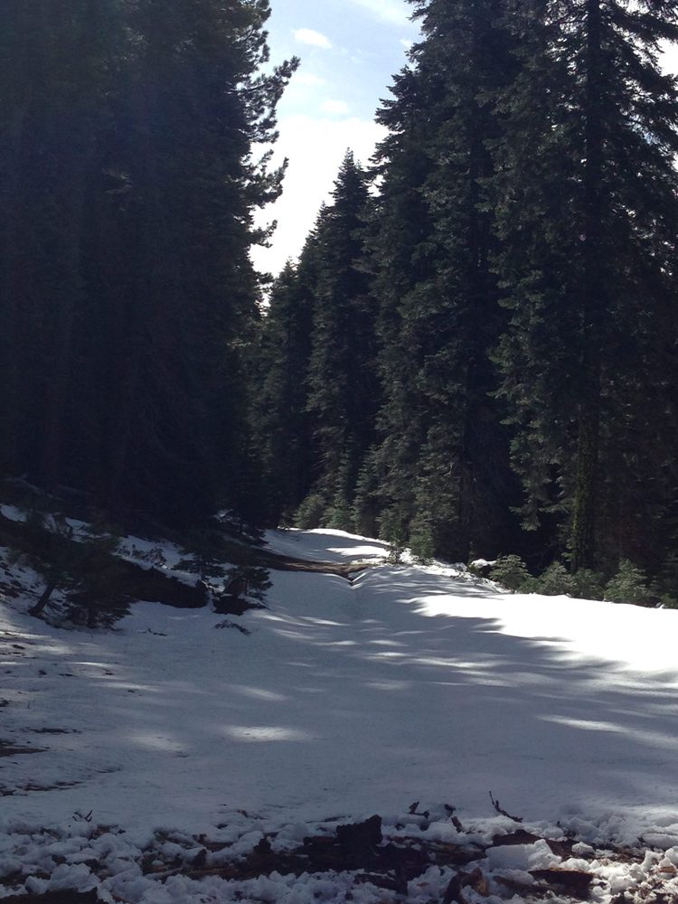 Photo from Packsaddle Pass