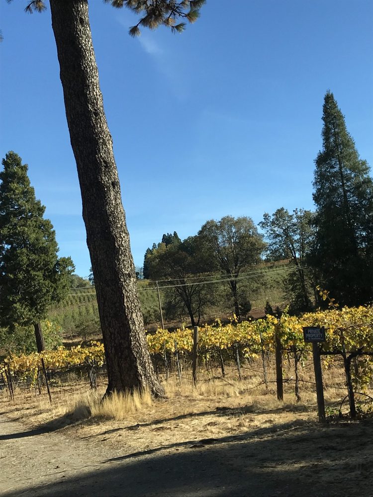 Photo from Apple Hill