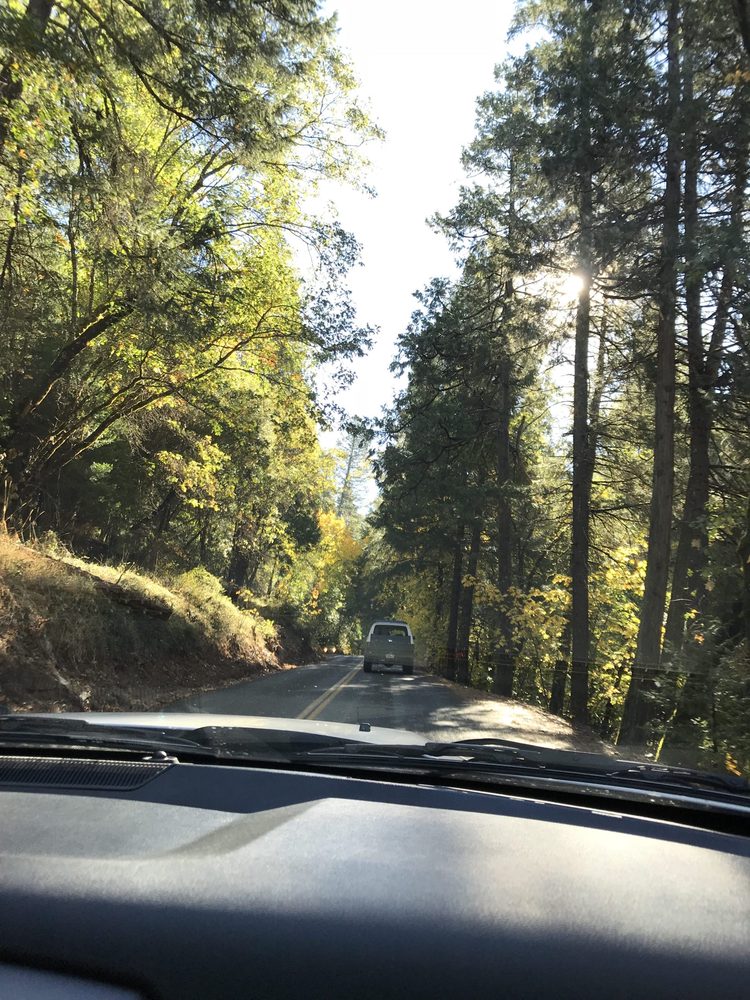Photo from Apple Hill