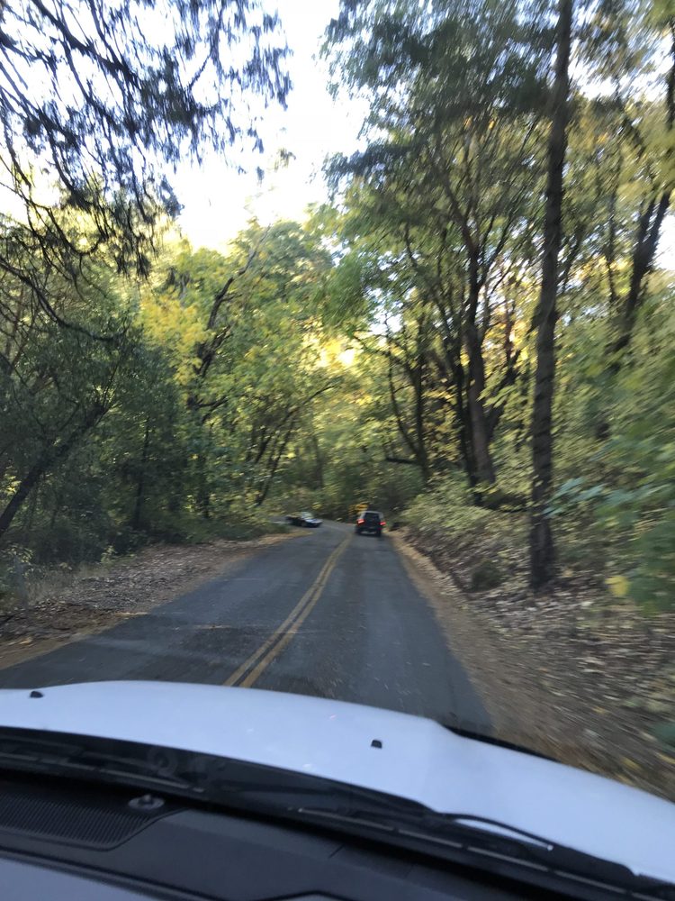 Photo from Apple Hill