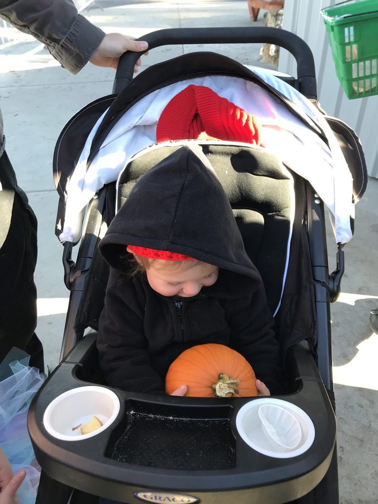 Photo from Apple Hill