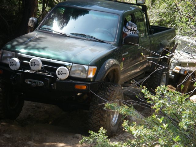 Strawberry024
